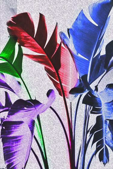 Original Abstract Botanic Photography by Mona Vayda