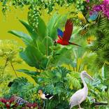The Avian Sanctuary Collection No. 6 by Mona Vayda