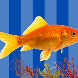 Between the Lines No. 9: The Fish Collection by Mona Vayda