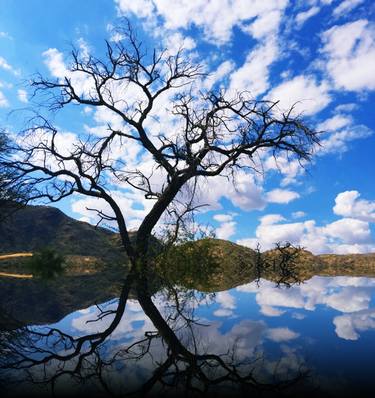 Print of Realism Landscape Photography by Mona Vayda