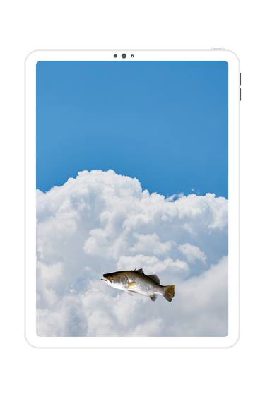 Fish Out Of Water - The iPad Collection Series No. 12 - Limited Edition of 10 thumb