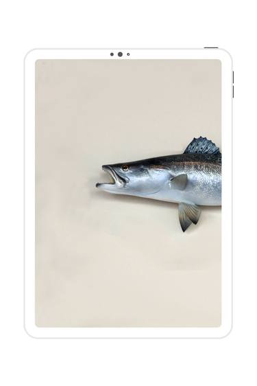 Original Abstract Fish Digital by Mona Vayda