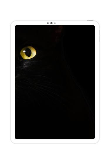 Print of Abstract Cats Digital by Mona Vayda