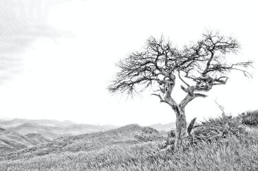 Like A Drawing (Series) - Namibian Landscape - Limited Edition of 10 thumb