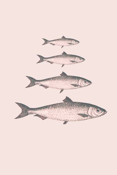 Print of Fish Digital by Mona Vayda