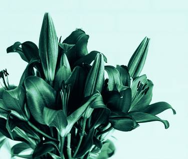 Original Abstract Floral Photography by Mona Vayda