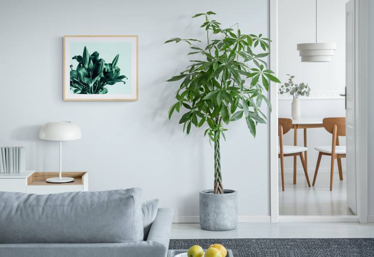 Original Abstract Floral Photography by Mona Vayda