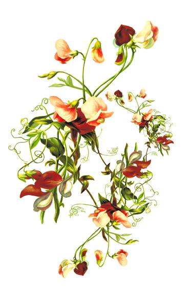 Print of Botanic Digital by Mona Vayda