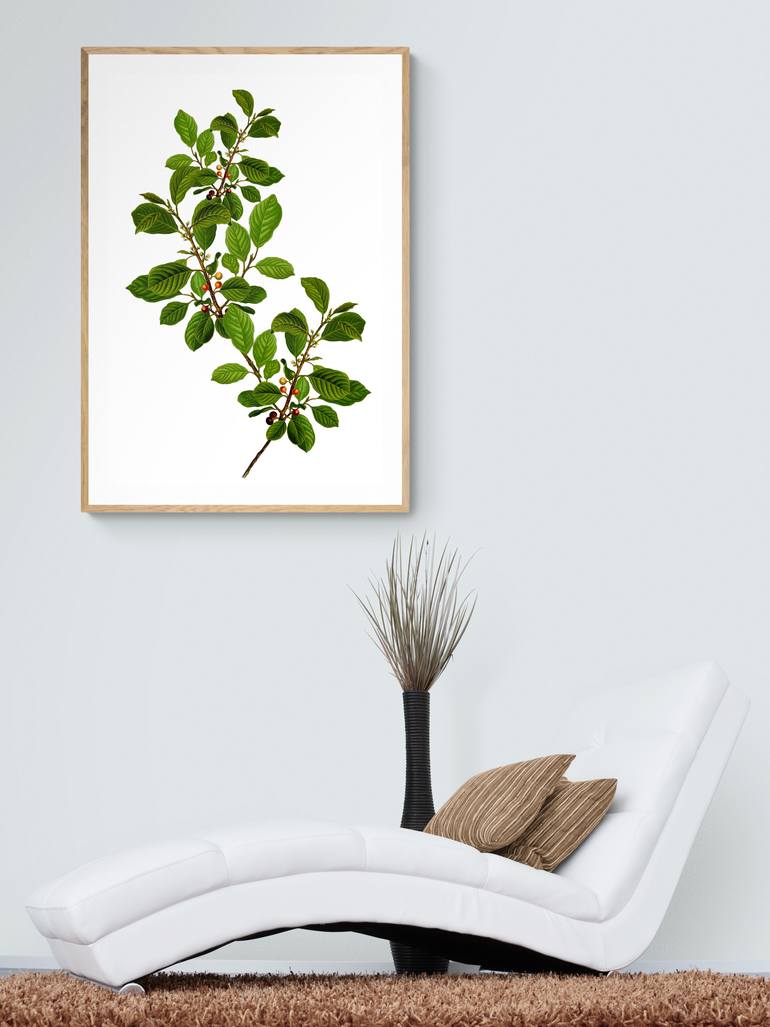 Original Abstract Botanic Digital by Mona Vayda