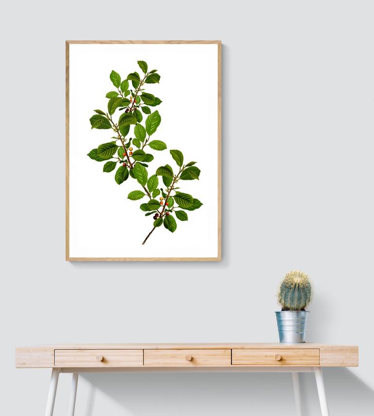 Original Abstract Botanic Digital by Mona Vayda