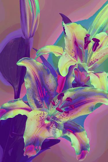 Original Abstract Floral Digital by Mona Vayda