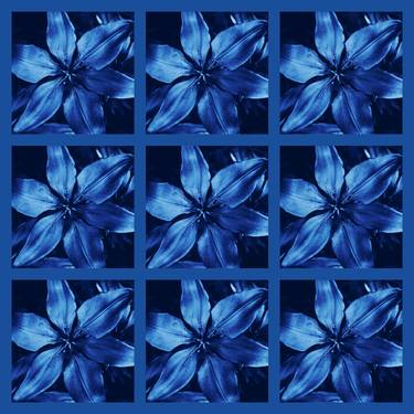Sapphire Lily Wonder - Limited Edition of 10 thumb