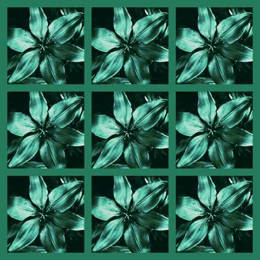 Emerald Lily Wonder - Limited Edition of 10 thumb