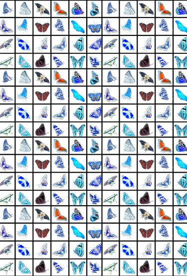 Study Of The Butterfly - Limited Edition of 10 thumb