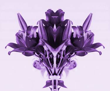 Original Abstract Floral Digital by Mona Vayda