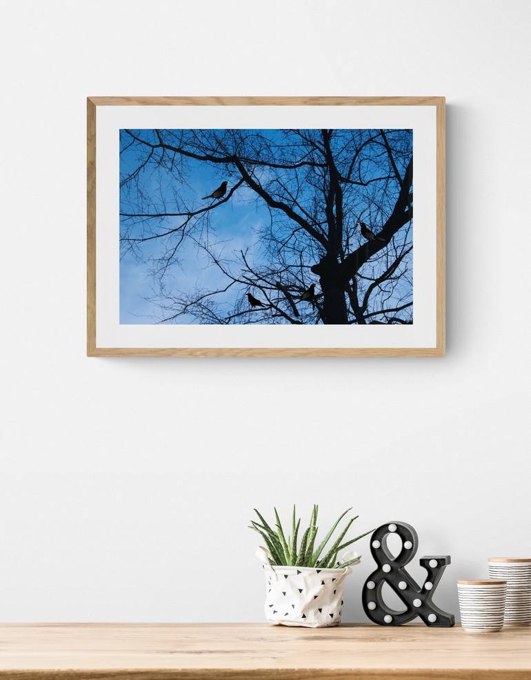 Original Abstract Tree Photography by Mona Vayda