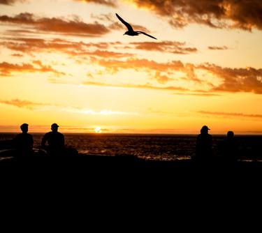 Print of Beach Photography by Simon Ker-Fox Taylor