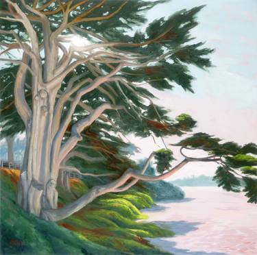 Ancient Elegance, Monterey Cypress - Limited Edition 30 of 100 thumb