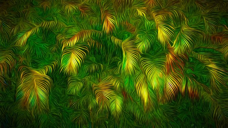 Jungle Palms Photography by Peter Hogg | Saatchi Art