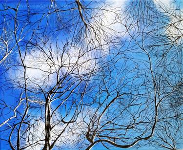 Print of Figurative Tree Paintings by Gaid Guillou