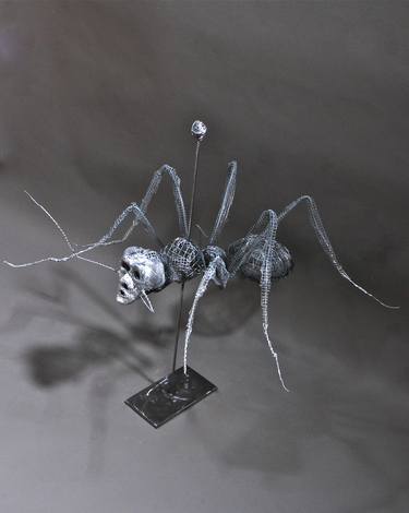 SILVER ANT thumb