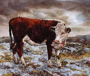 Original Animal Paintings by John Hancock