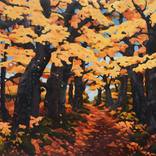 Collection Fall Foliage