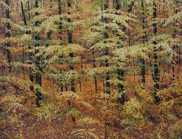 Original Abstract Expressionism Landscape Paintings by John Hancock