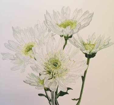Original Botanic Paintings by Debra Farrell
