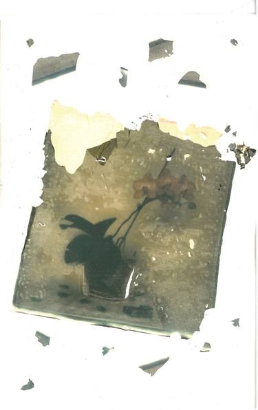 Original Abstract Expressionism Nature Photography by Erkin Esginler