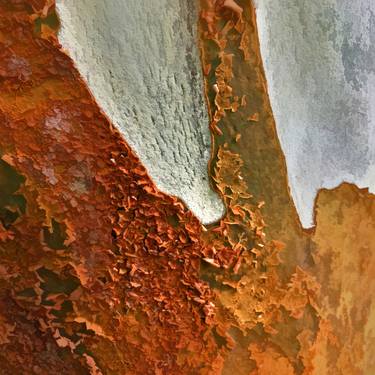 Print of Abstract Nature Photography by David Hargreaves