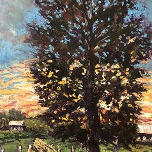 Collection Landscape 