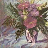 Collection Still life