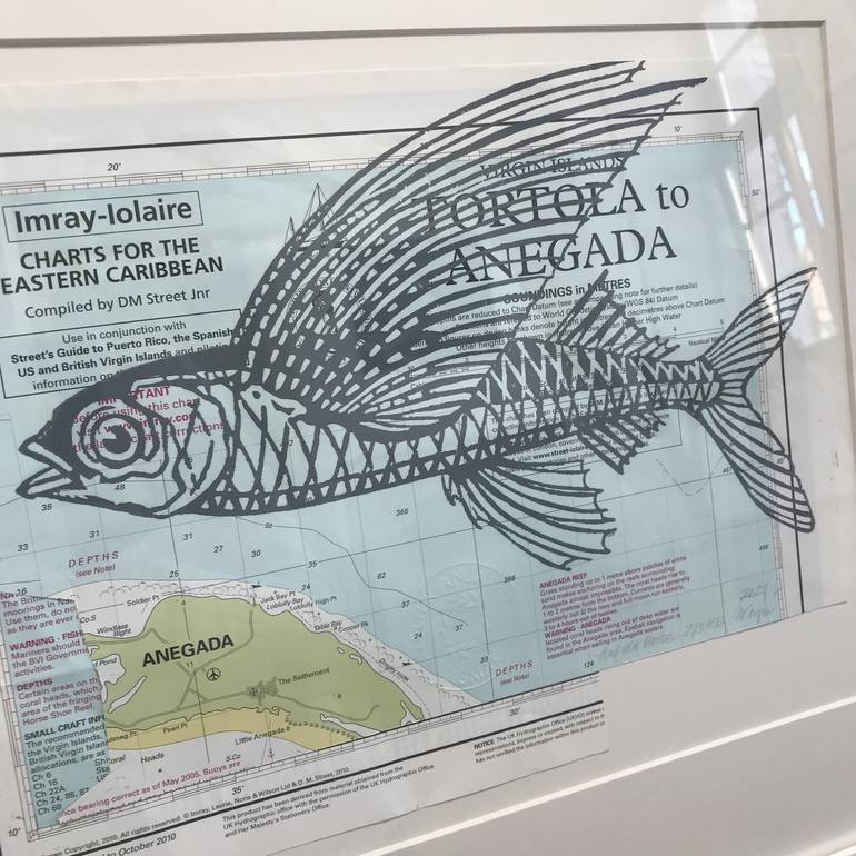 Original Fine Art Fish Printmaking by A Weyer