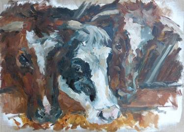 Original Cows Paintings by Maike Josupeit