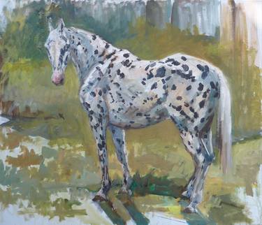 Original Horse Paintings by Maike Josupeit