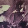 view additional image 4
