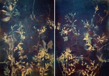 Original Modern Botanic Paintings by Stefano Mazzolini