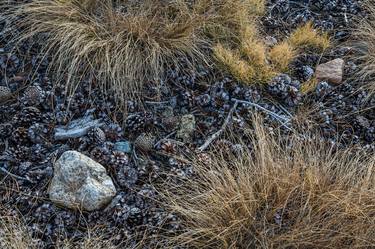 Tuolumne Ground thumb