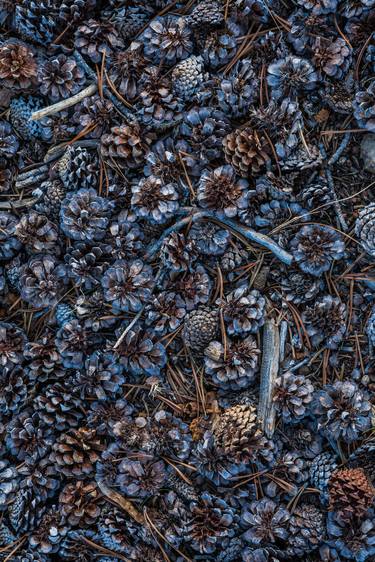 Pine Cones, Meditation thumb