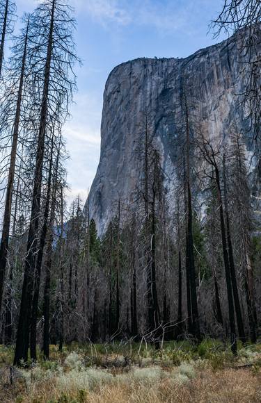 Original Documentary Landscape Photography by Timothy McGuire