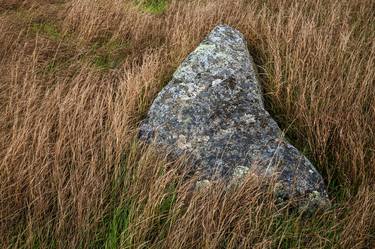 Original Documentary Nature Photography by Timothy McGuire