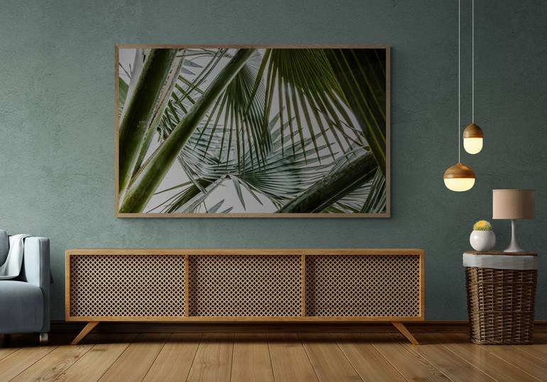 Original Contemporary Botanic Photography by Timothy Mcguire