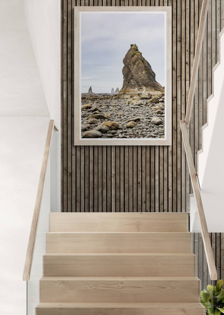 Original Contemporary Nature Photography by Timothy Mcguire