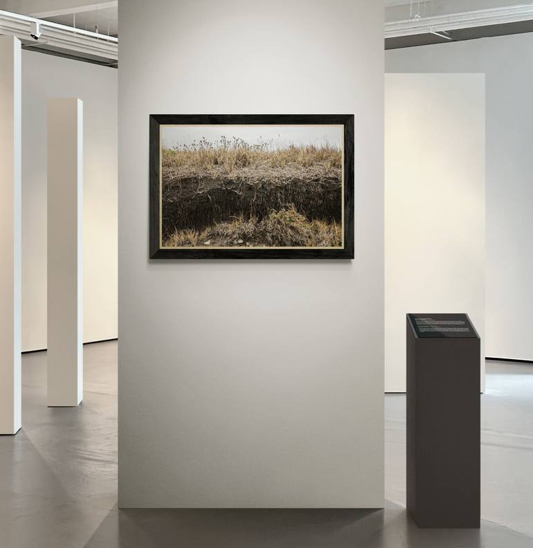 Original Contemporary Nature Photography by Timothy Mcguire