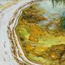 Collection Original Paintings