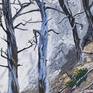 Collection Original Paintings