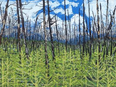 Original Documentary Nature Paintings by Timothy McGuire
