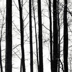 Collection Black and White Photography