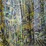 Collection Abstract Paintings